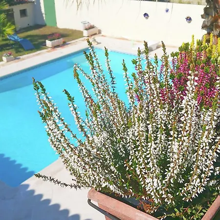 Cozy Holiday In With Terrace *